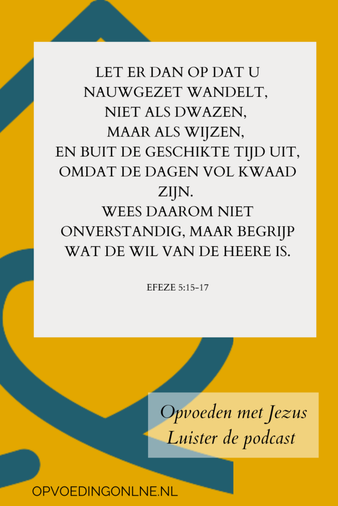 Dagindeling plannen zonder tijd met blokken_ over overzicht zonder klok en zonder stress_PODCAST